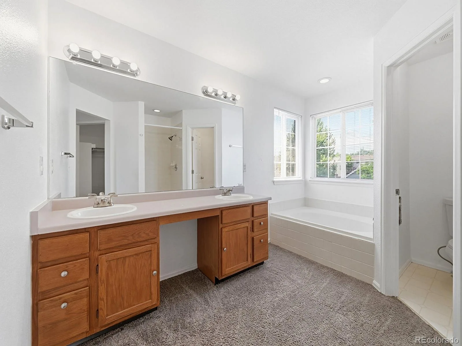 4064 S Himalaya Way Aurora CO 80013 | MLS #REC5533535 08132026231013 1600 17