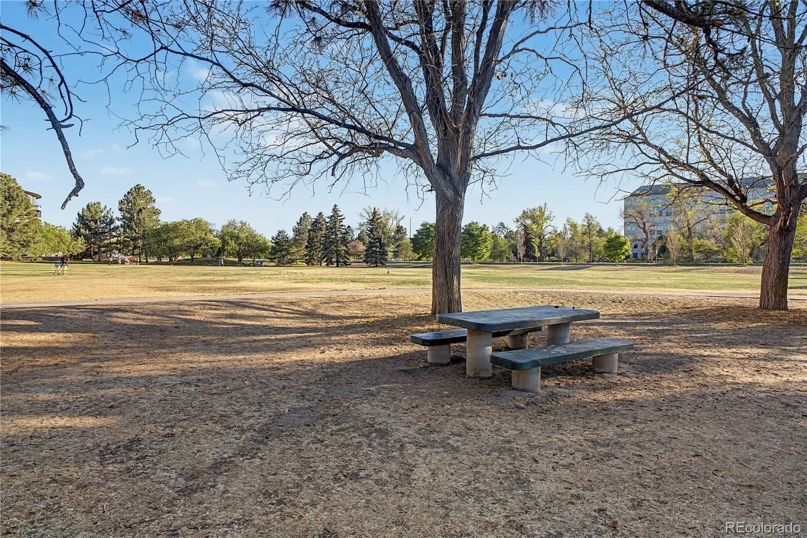 8 S Colorado Boulevard Denver CO 80246 MLS #REC5535119 05282026023219 1600 36