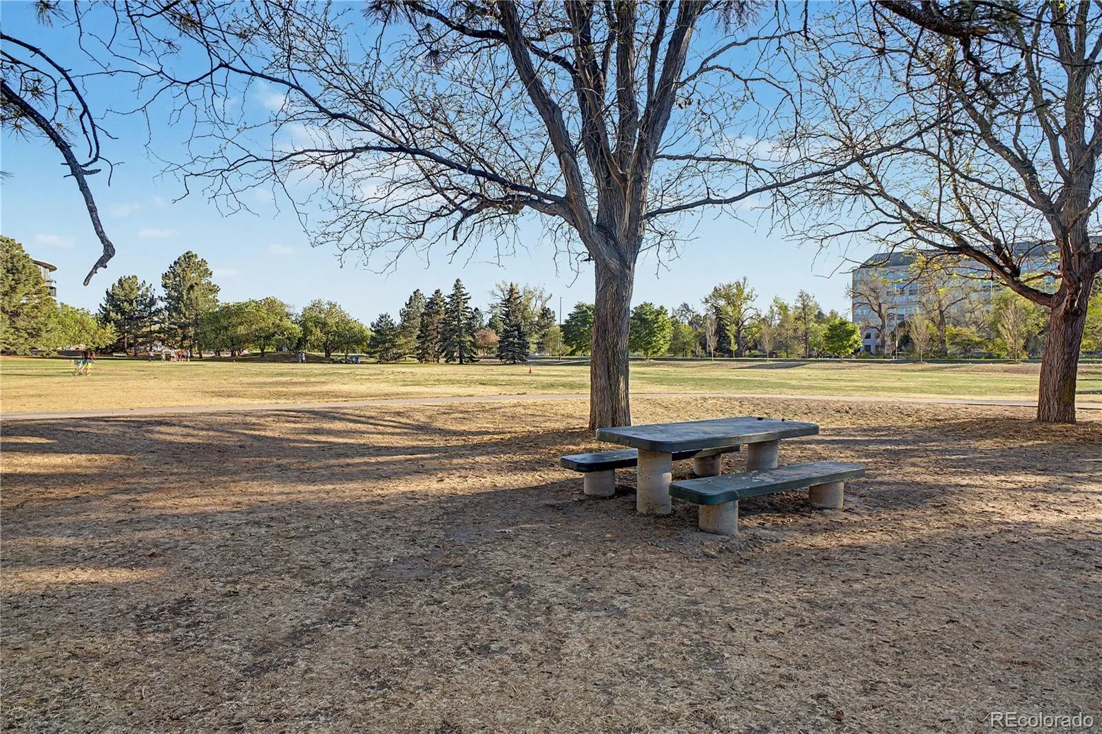 8 S Colorado Boulevard Denver CO 80246 MLS #REC5535119 06172026212529 1600 36
