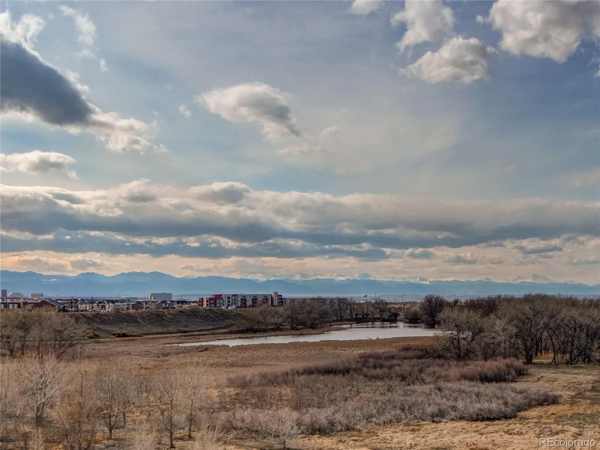 10771 E 28th Place Denver CO 80238 MLS #REC5535629 07112026183245 1200 35