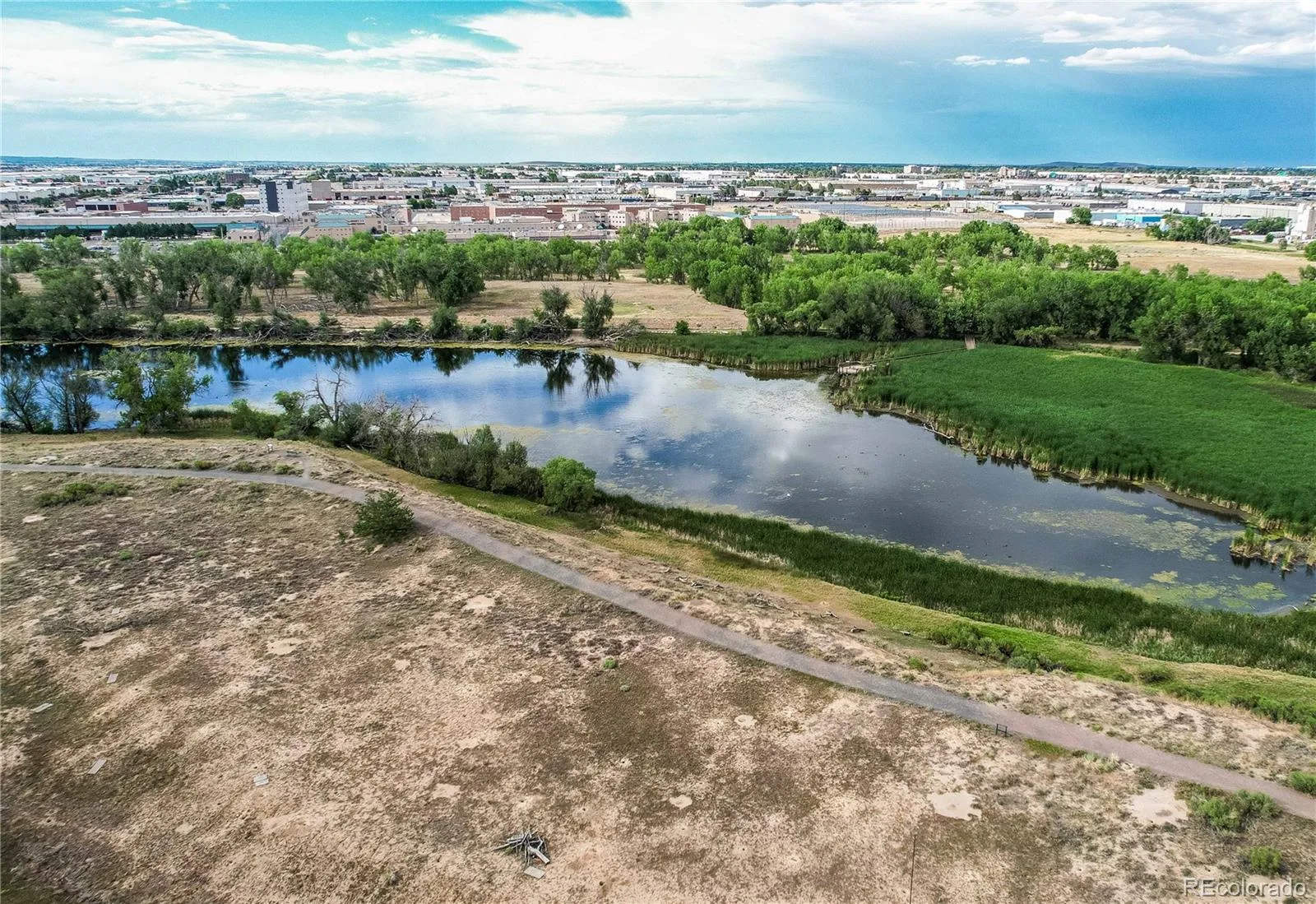 10771 E 28th Place Denver CO 80238 MLS #REC5535629 07112026183245 1600 5
