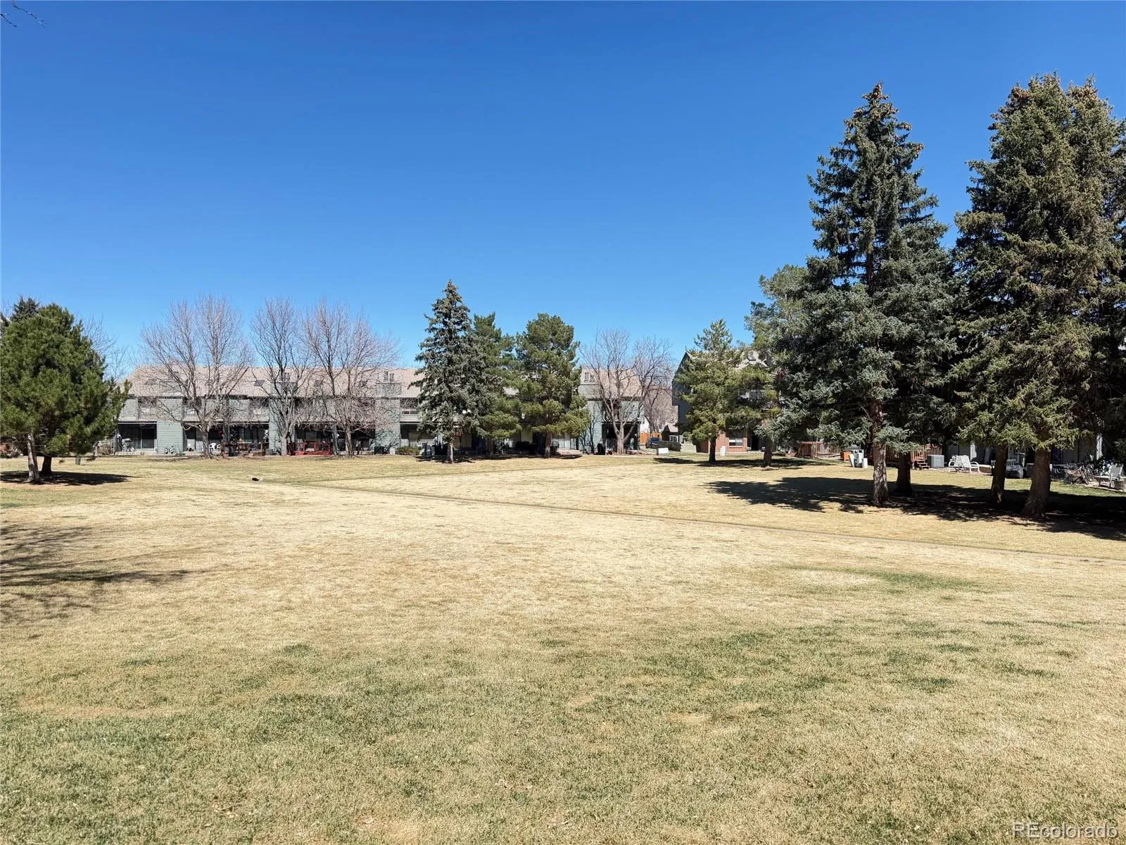 3686 S Depew Street #7 Denver CO 80235 MLS #REC5537220 04092026214326 1600 30