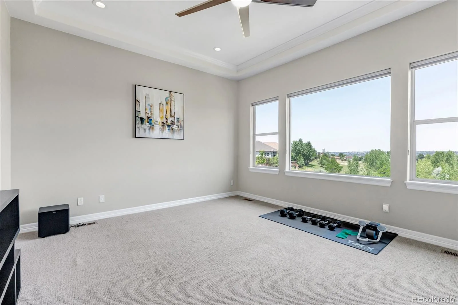 23675 E Del Norte Place Aurora CO 80016 MLS #REC5540486 07082026044137 1600 19