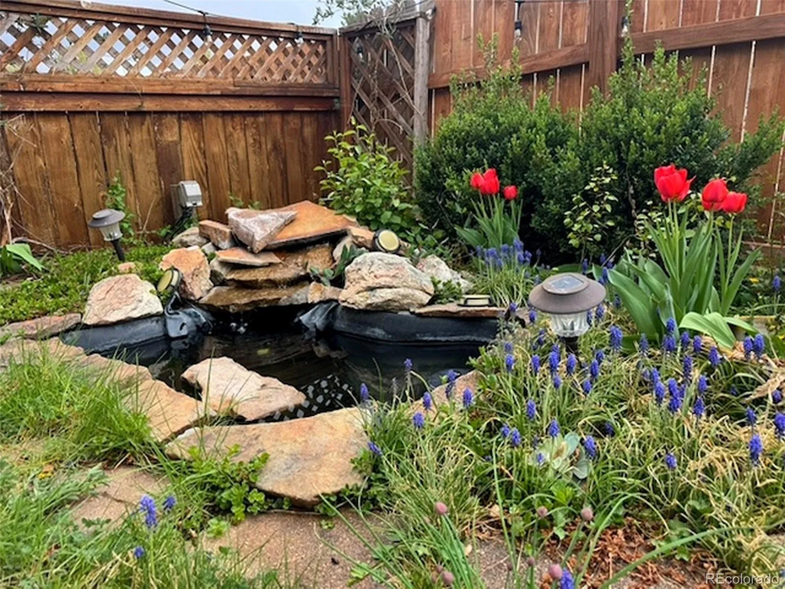 18816 E Saratoga Circle Aurora CO 80015 MLS #REC5541170 05142026005044 1600 47