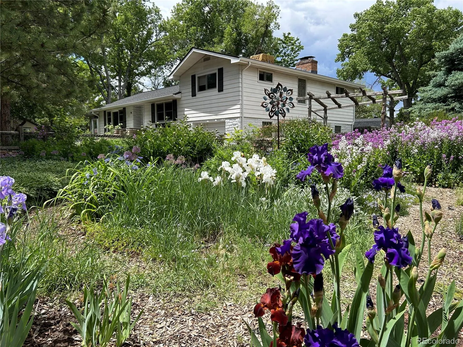 99 S Holland Street Lakewood CO 80226 MLS #REC5542700 05132026212528 1600 1