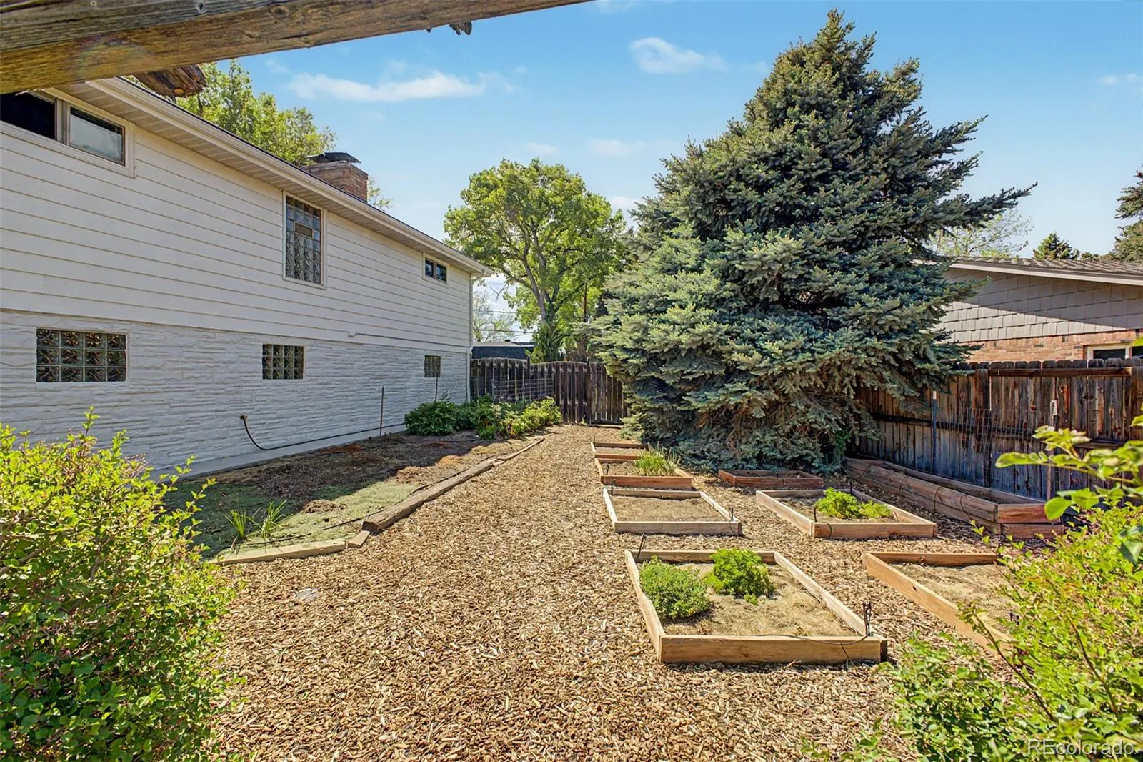 99 S Holland Street Lakewood CO 80226 MLS #REC5542700 05132026212528 1600 10