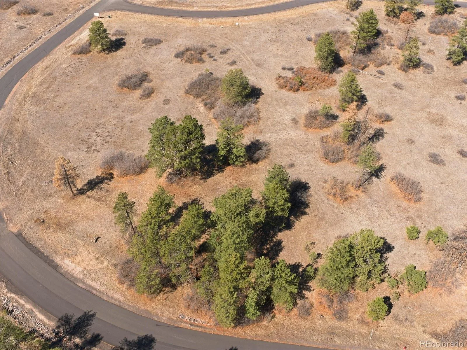 2275 Keep Drive Sedalia CO 80135 | MLS #REC5545675 07022026173434 1600 2