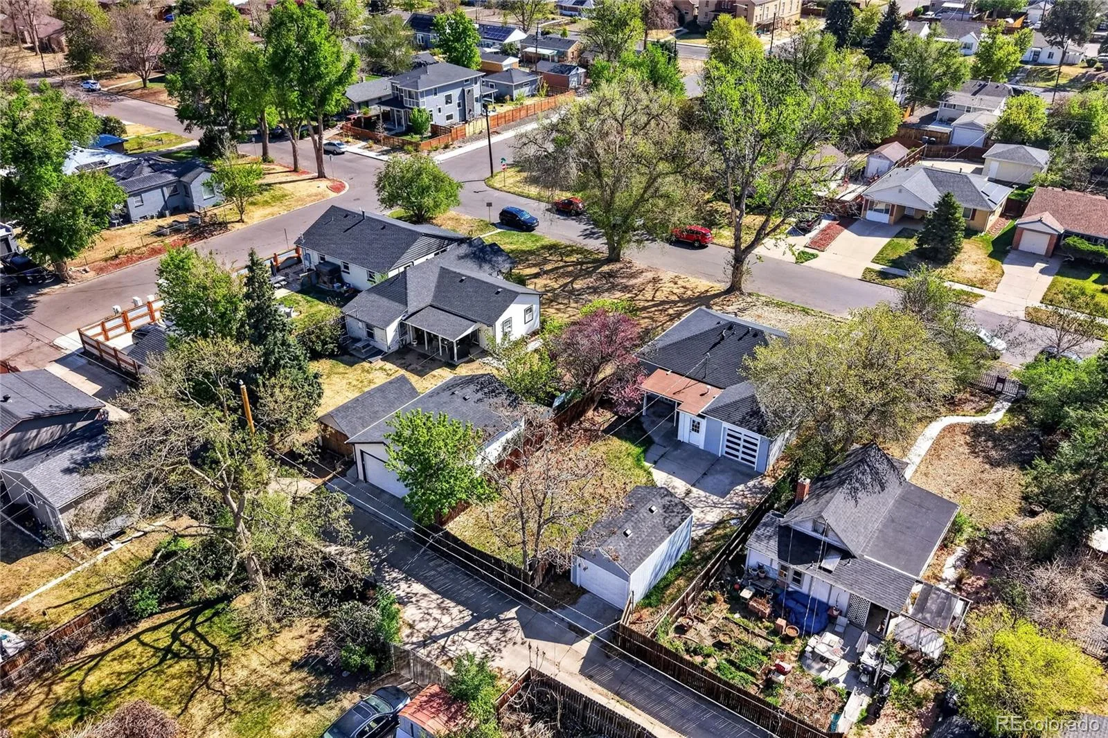 1567 Rosemary Street Denver CO 80220 | MLS #REC5555589 08212026161310 1600 37