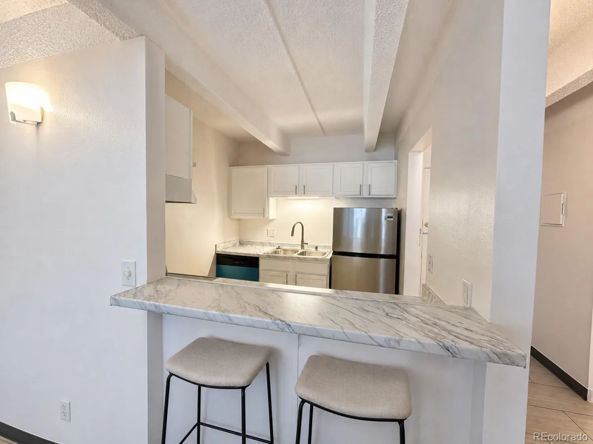1265 Race Street #208 Denver CO 80206 | MLS #REC5557905 10052026174834 1200 14