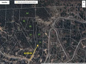 broker reciprocity