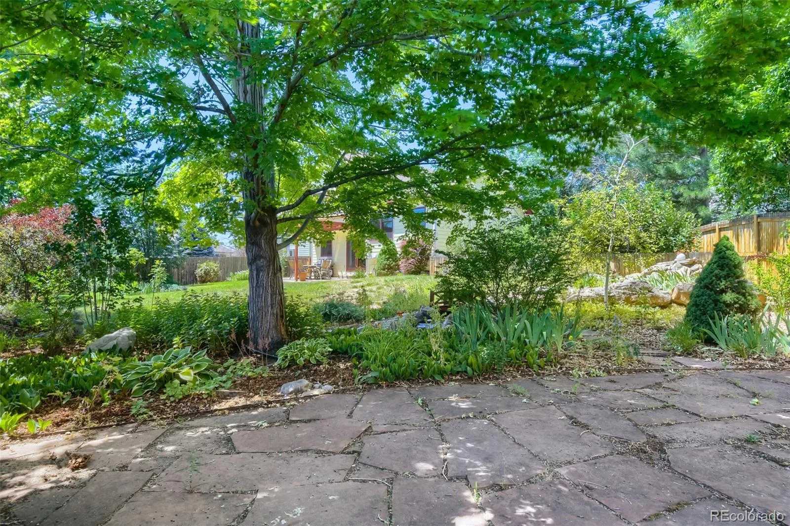 12354 Utica Court Broomfield CO 80020 | MLS #REC5564336 08262026194834 1600 25