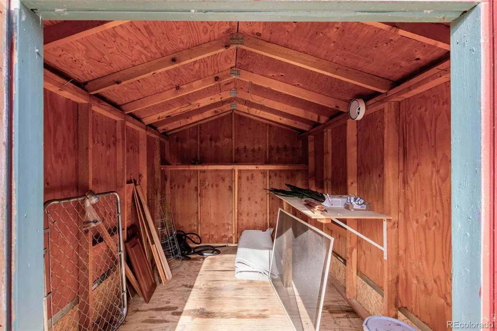 11242025232912 1600 43