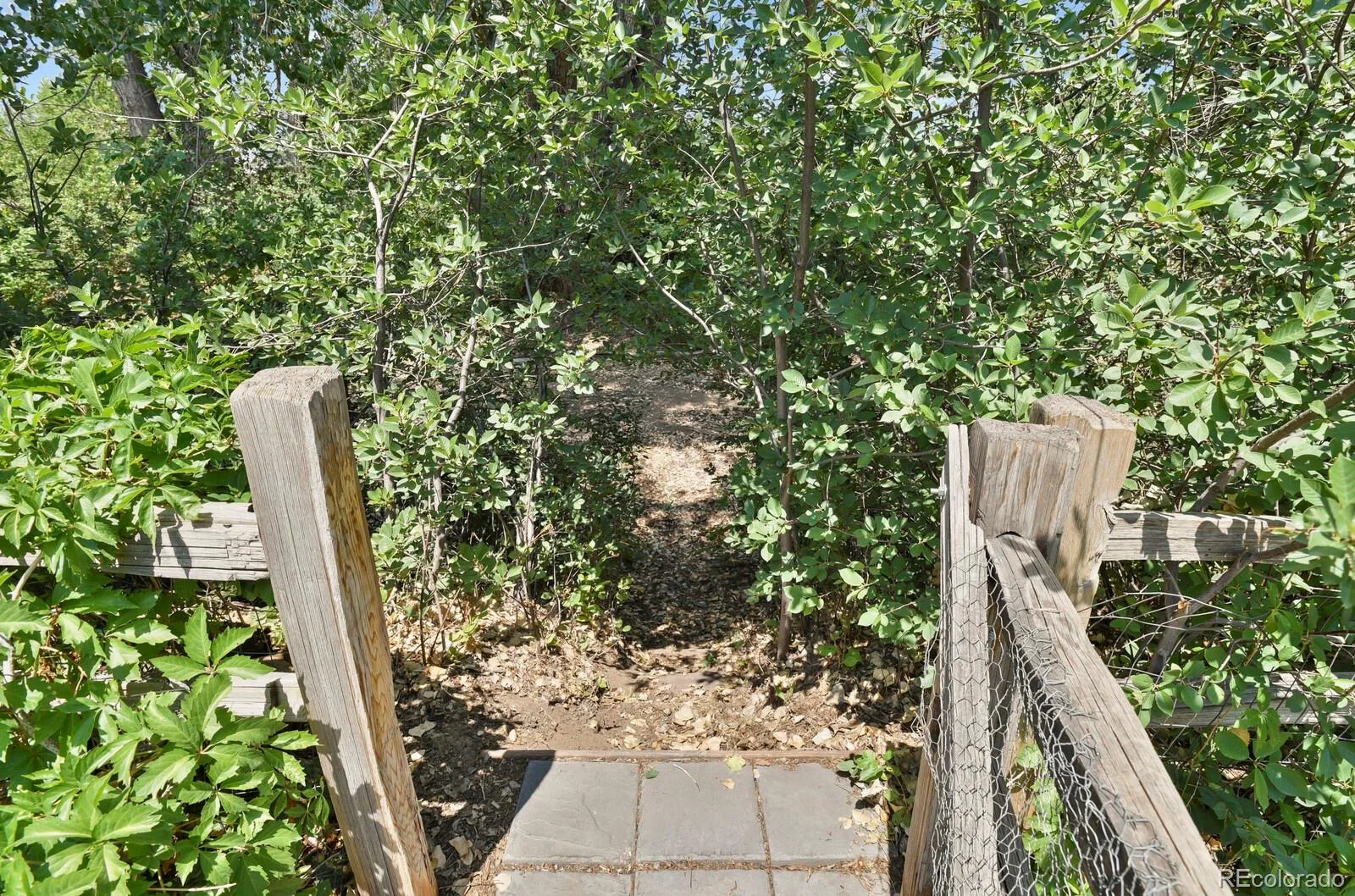 08042026142337 1600 38