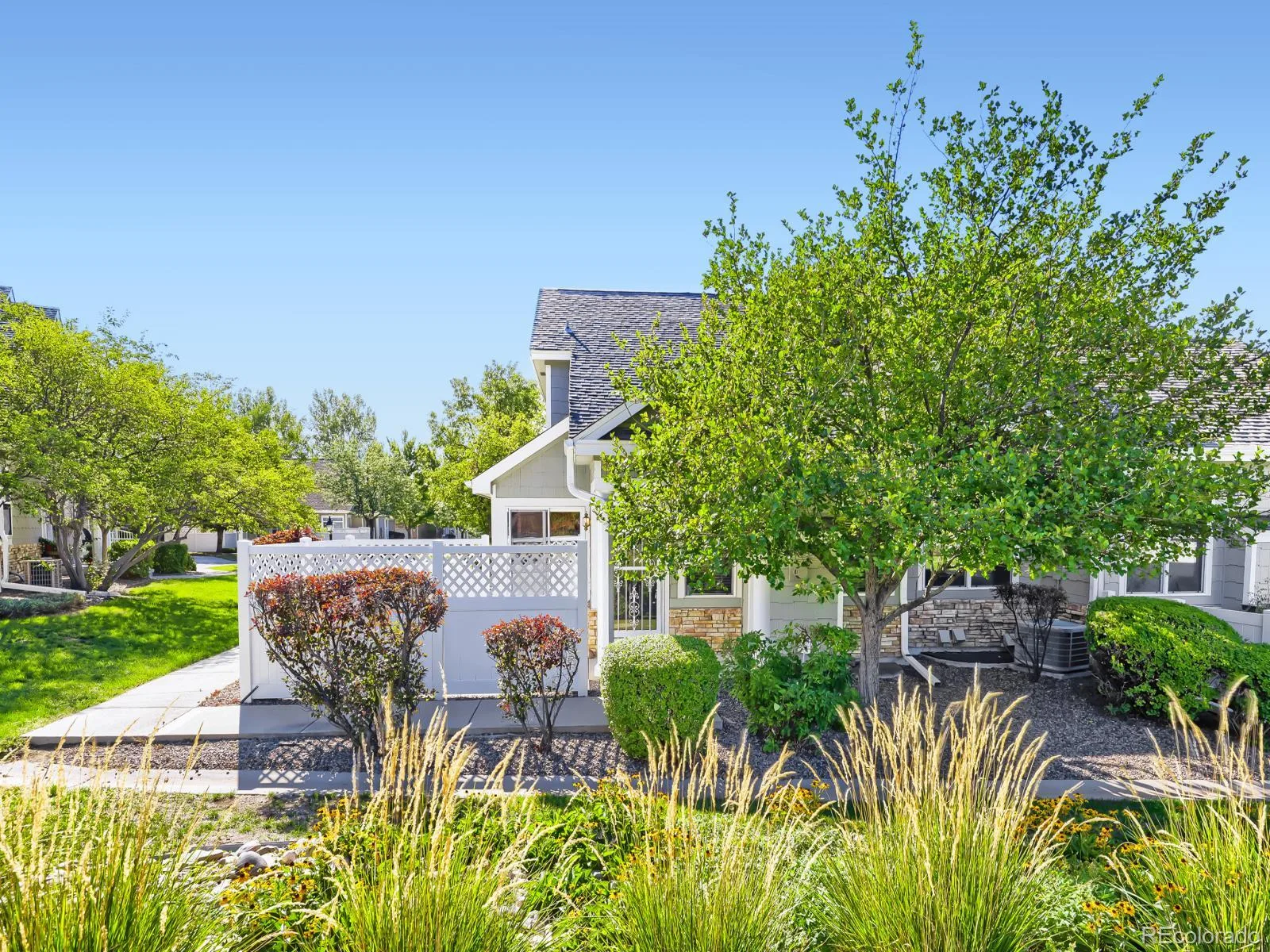 6355 Deframe Way Arvada CO 80004 | MLS #REC5571124 08202026140637 1600 26