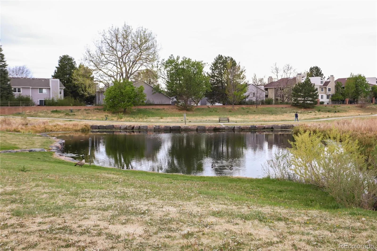 14302 E Napa Place #10B Aurora CO 80014 MLS #REC5572340 04302026212711 1600 28