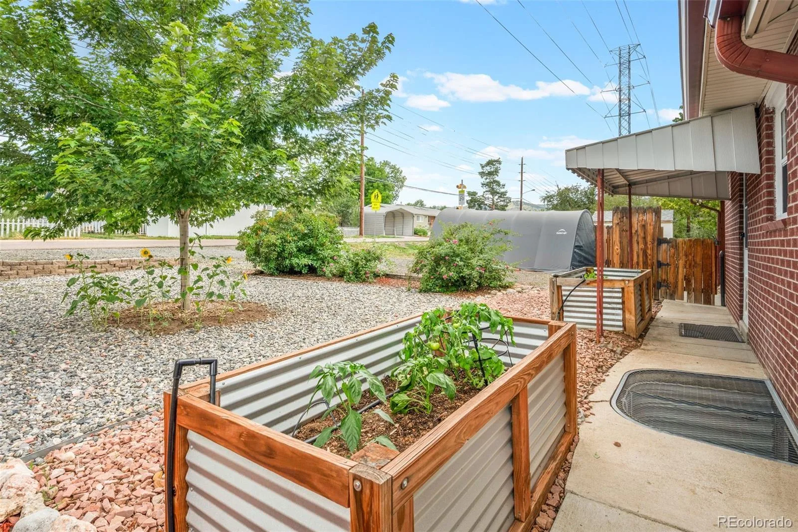 1005 Moss Street Golden CO 80401 MLS #REC5573897 06272026201656 1600 2