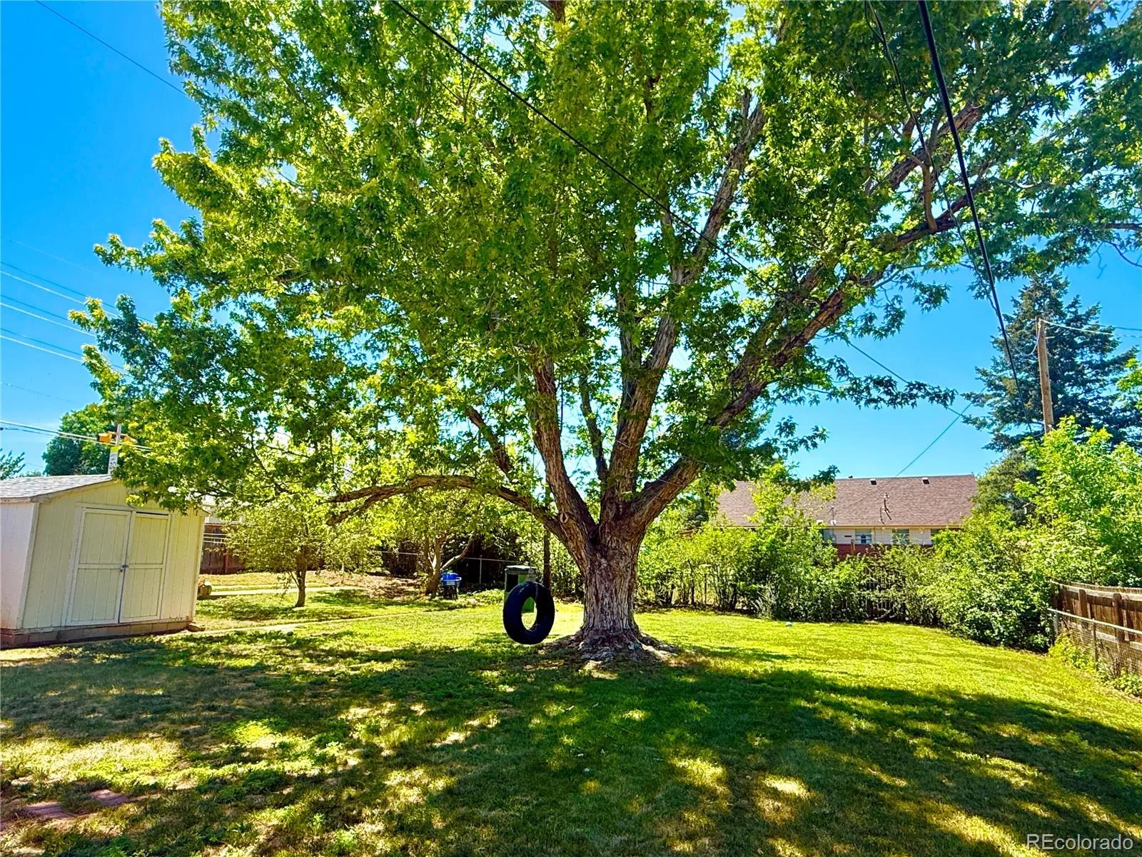 1005 Moss Street Golden CO 80401 MLS #REC5573897 06272026201656 1600 23
