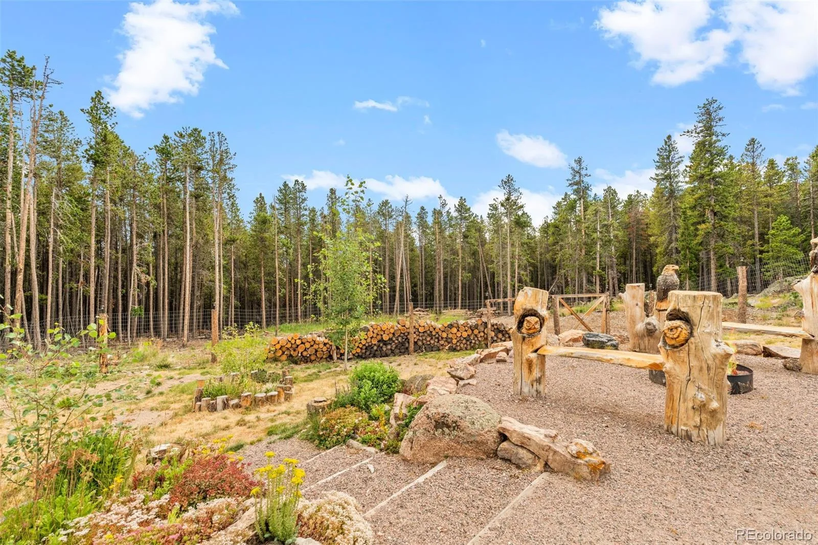 74 Valley View Lane Evergreen CO 80439 | MLS #REC5574086 08252026134348 1600 40