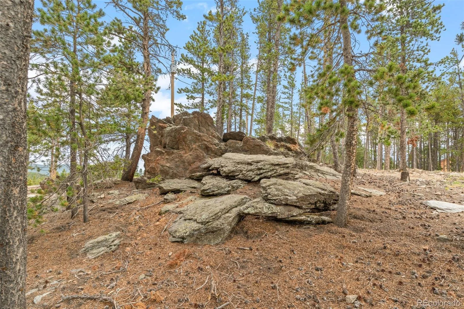 74 Valley View Lane Evergreen CO 80439 | MLS #REC5574086 08252026134348 1600 42