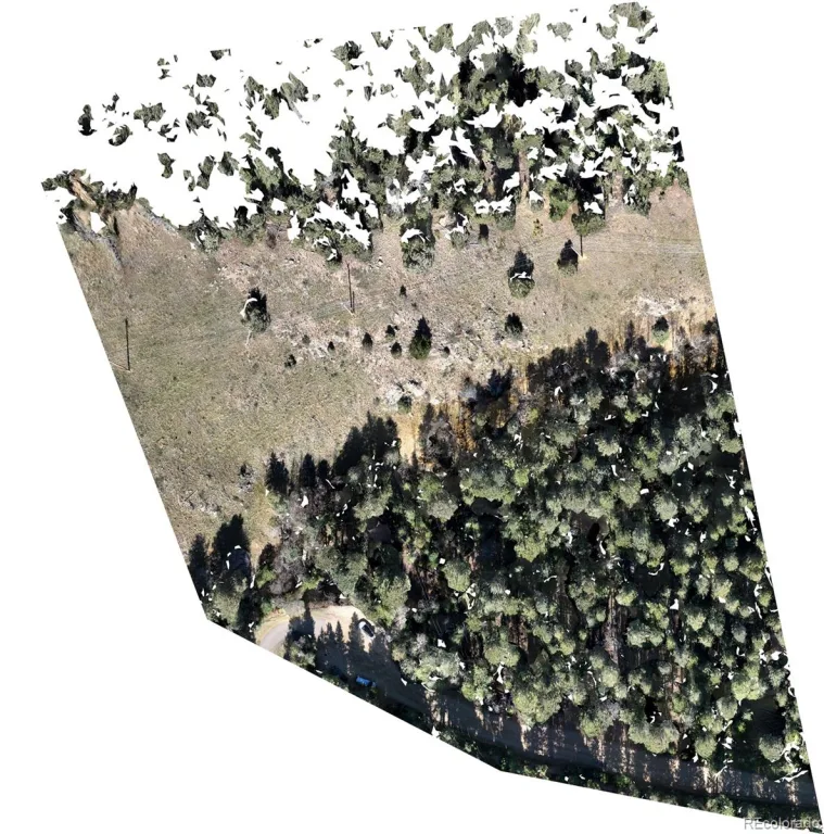 76 Ponderosa Place Evergreen CO 80439 | MLS #REC5577642 07132026051516 1024 9