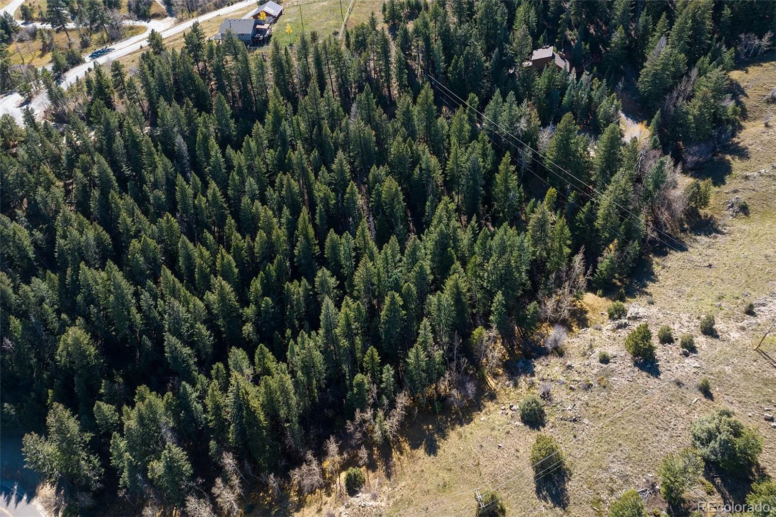 76 Ponderosa Place Evergreen CO 80439 | MLS #REC5577642 07132026051516 1600 2