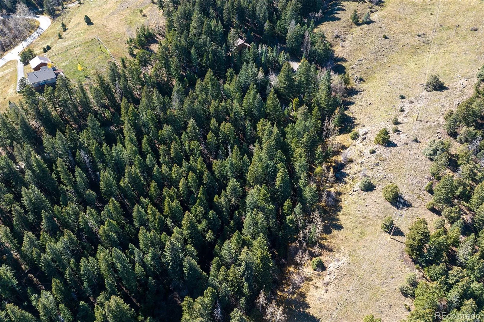 76 Ponderosa Place Evergreen CO 80439 | MLS #REC5577642 07132026051516 1600 3