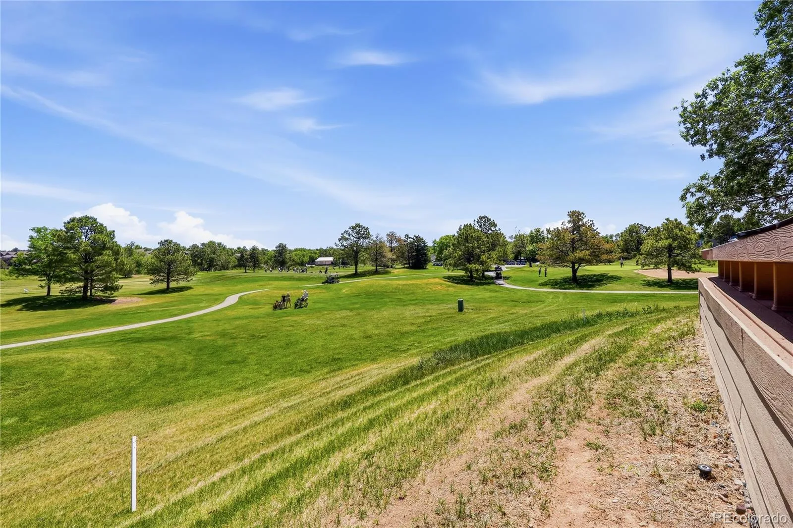 31 Sutherland Court Highlands Ranch CO 80130 MLS #REC5581826 06132026192300 1600 35