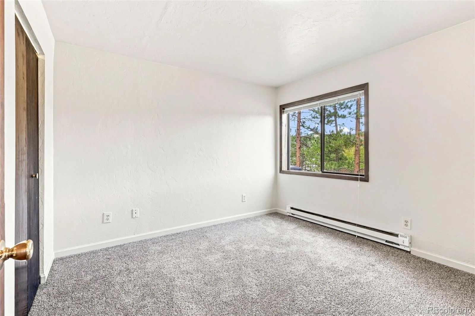 26222 S End Road Kittredge CO 80457 | MLS #REC5585742 08232026141314 1600 21
