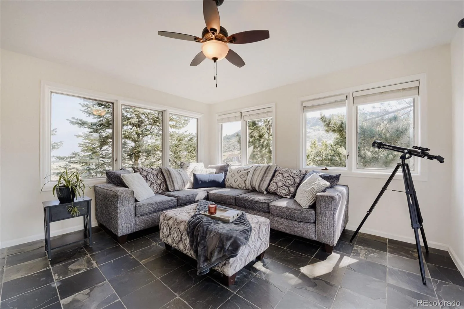 6823 Big Horn Trail Littleton CO 80125 | MLS #REC5587305 08072026161915 1600 2