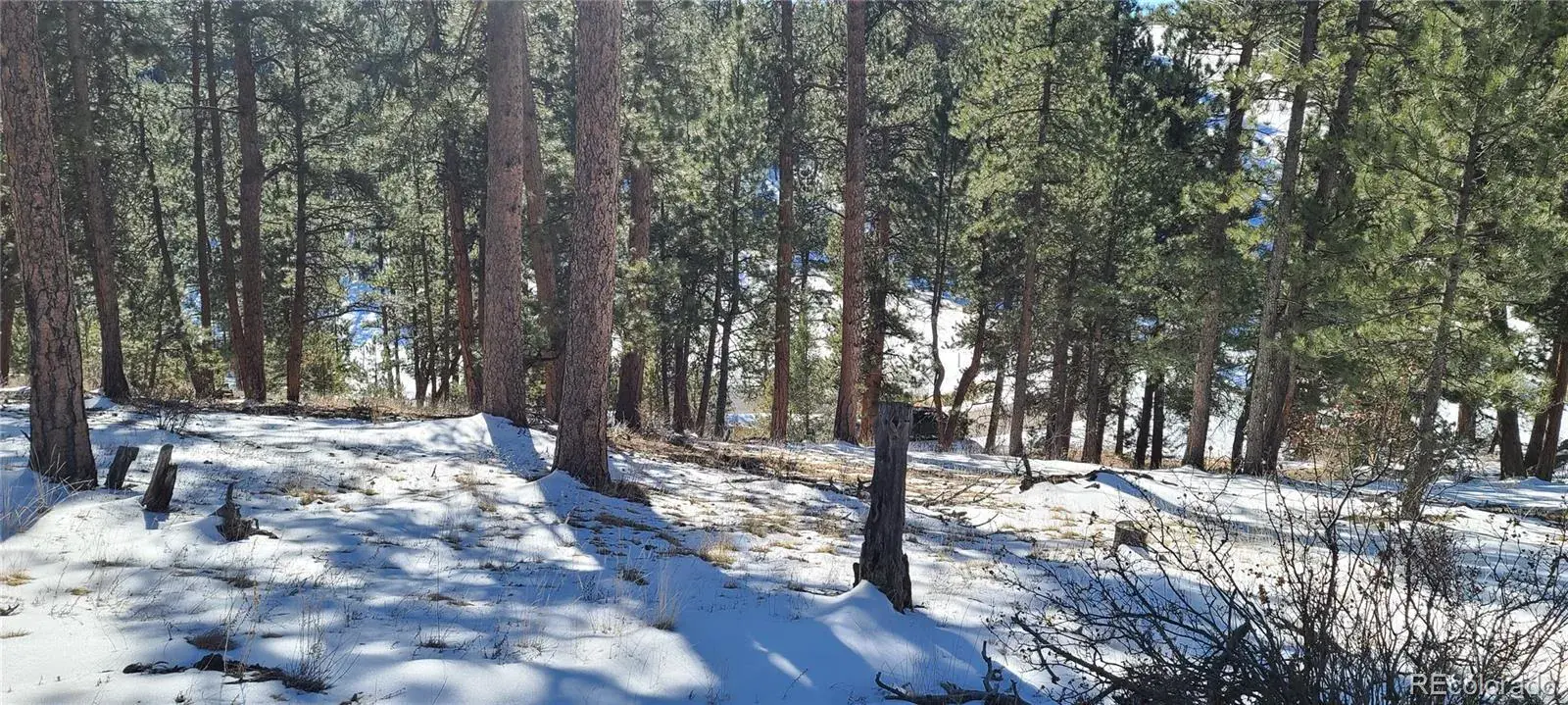 1493 Pinedale Ranch Circle Evergreen CO 80439 | MLS #REC5588186 09122025180737 1600 12