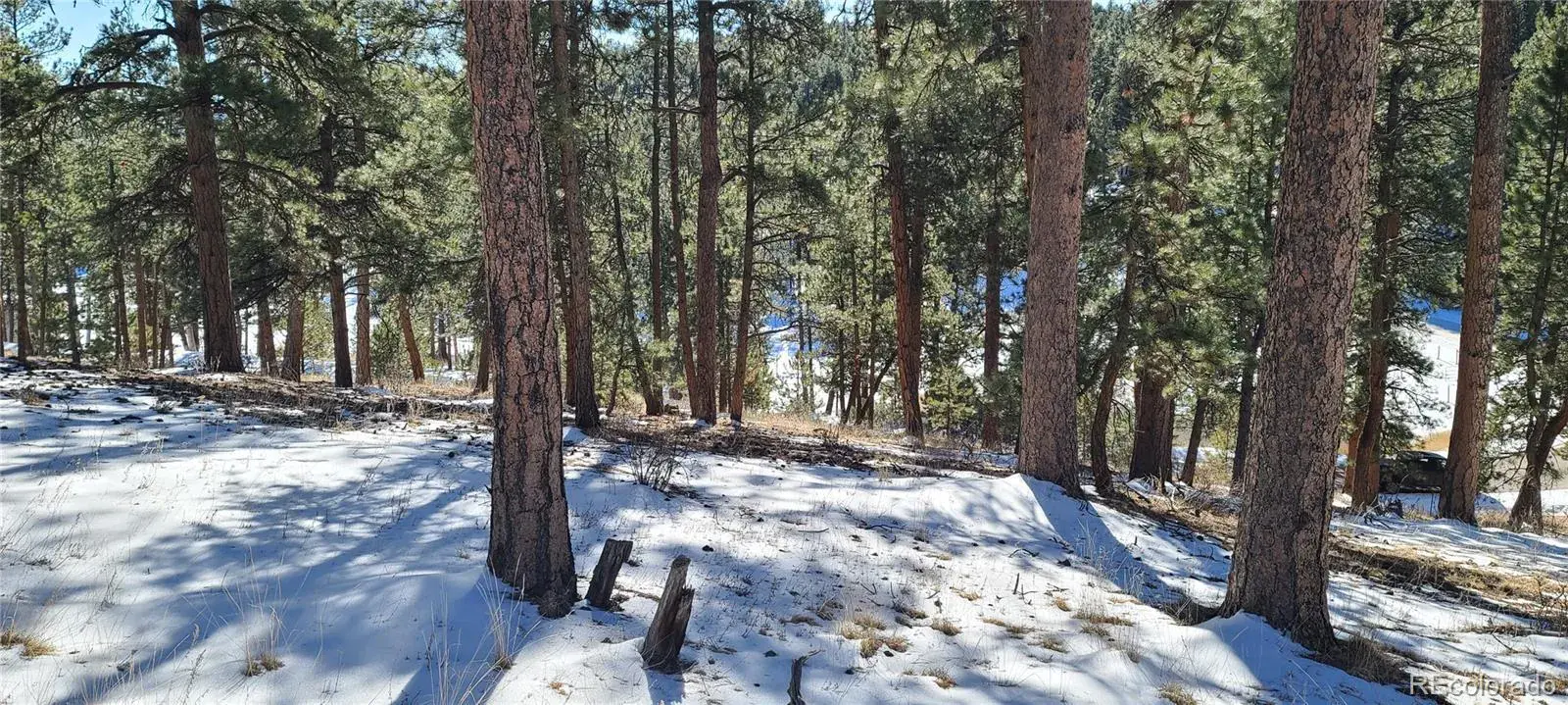 1493 Pinedale Ranch Circle Evergreen CO 80439 | MLS #REC5588186 09122025180737 1600 13
