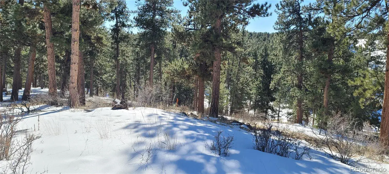 1493 Pinedale Ranch Circle Evergreen CO 80439 | MLS #REC5588186 09122025180737 1600 14