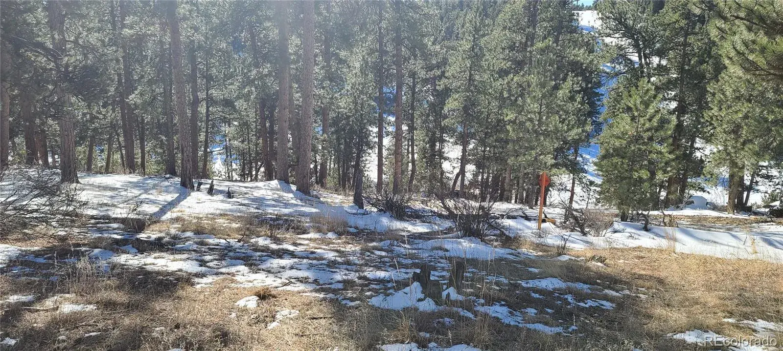 1493 Pinedale Ranch Circle Evergreen CO 80439 | MLS #REC5588186 09122025180737 1600 20