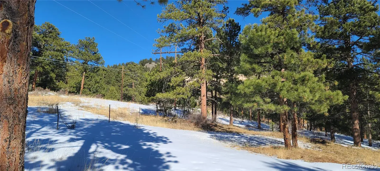 1493 Pinedale Ranch Circle Evergreen CO 80439 | MLS #REC5588186 09122025180737 1600 21