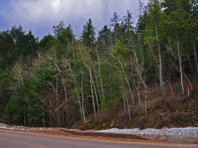 10136 Crest View Drive Morrison CO 80465 MLS #REC5592423 09292025210706 640 1