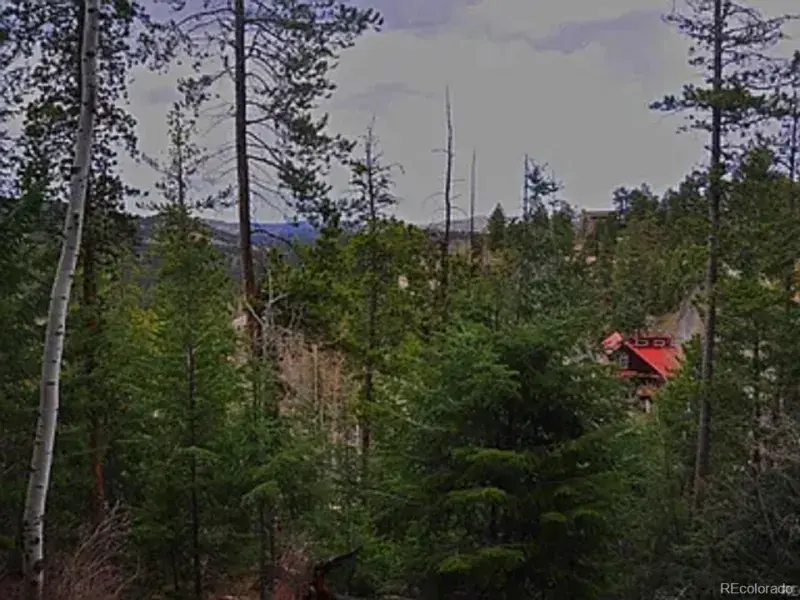 10136 Crest View Drive Morrison CO 80465 MLS #REC5592423 09292025210706 800 3