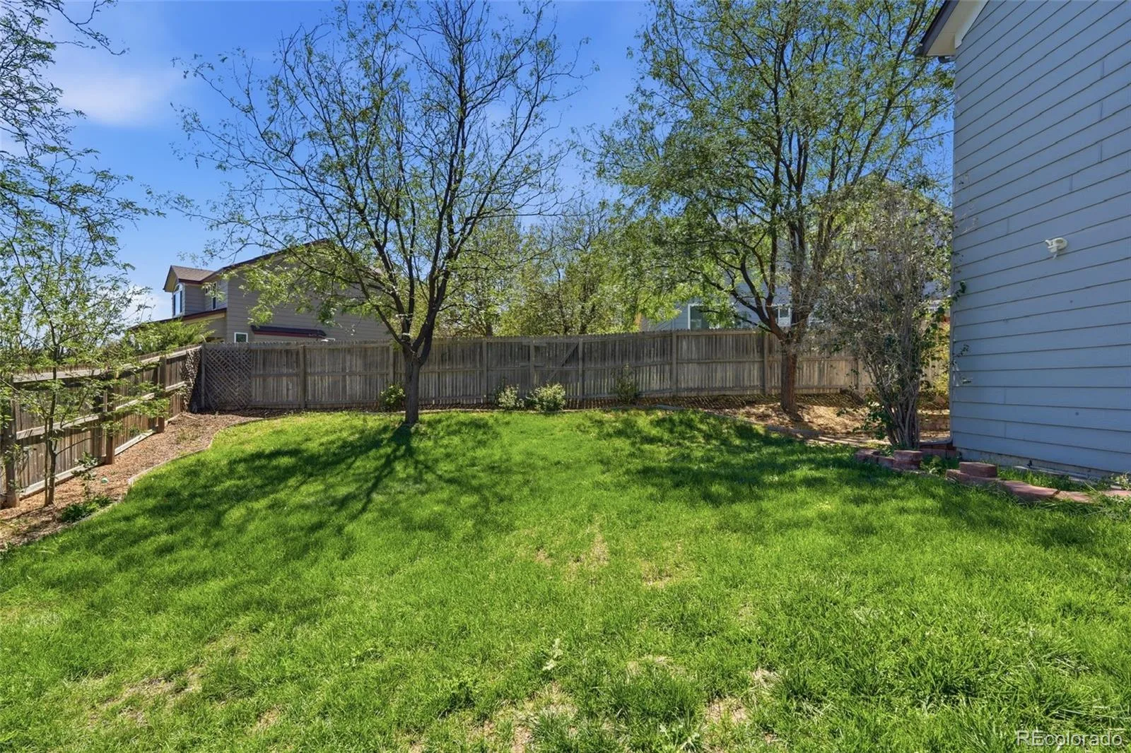 19960 E Belleview Lane Centennial CO 80015 | MLS #REC5593181 09282026180140 1600 46