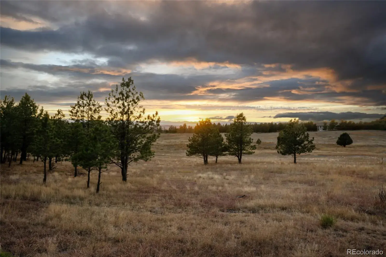 N/A Woodhaven Ridge Road Parker CO 80134 | MLS #REC5599952 11092025230617 1600 11
