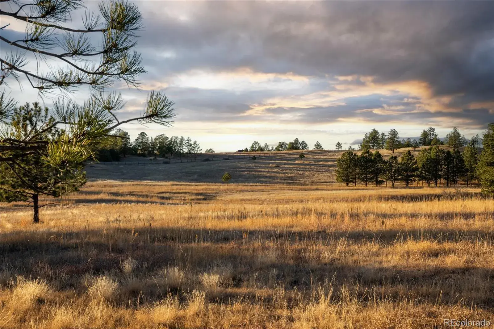 N/A Woodhaven Ridge Road Parker CO 80134 | MLS #REC5599952 11092025230617 1600 2