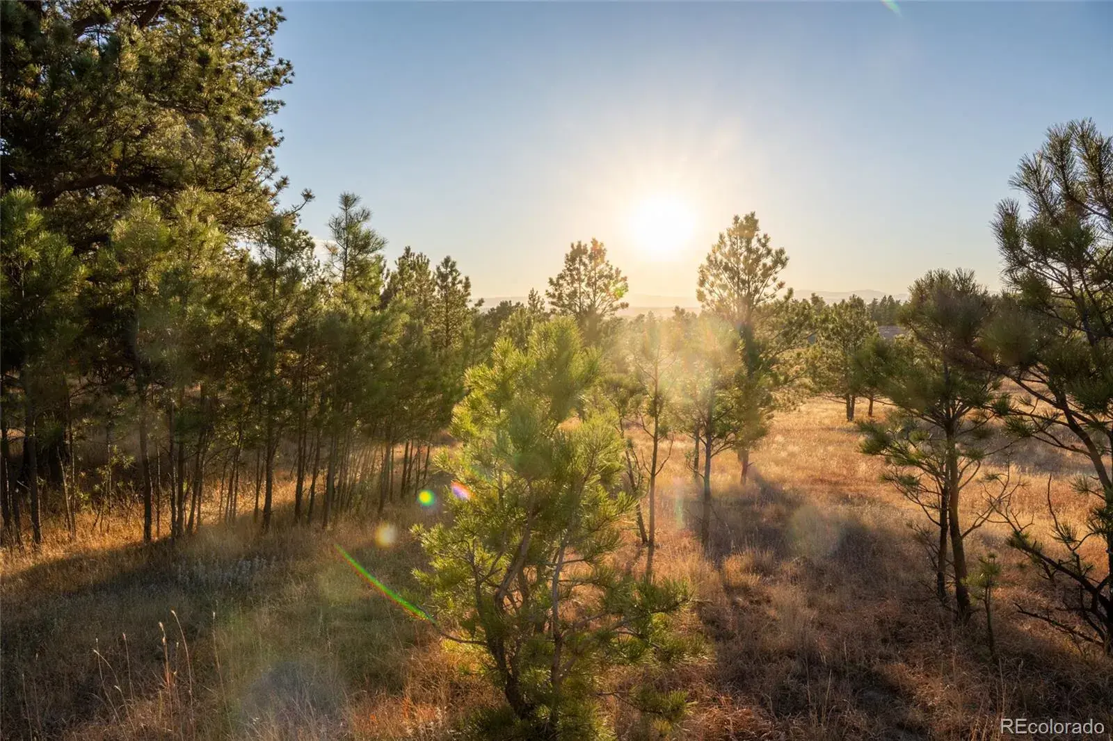 N/A Woodhaven Ridge Road Parker CO 80134 | MLS #REC5599952 11092025230617 1600 25