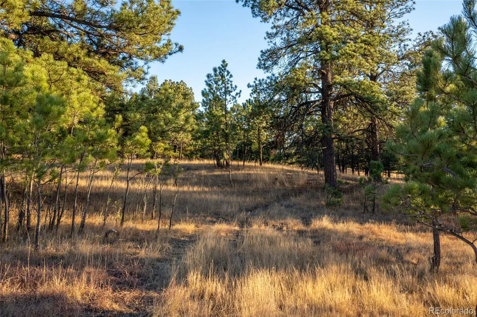 N/A Woodhaven Ridge Road Parker CO 80134 | MLS #REC5599952 11092025230617 1600 3