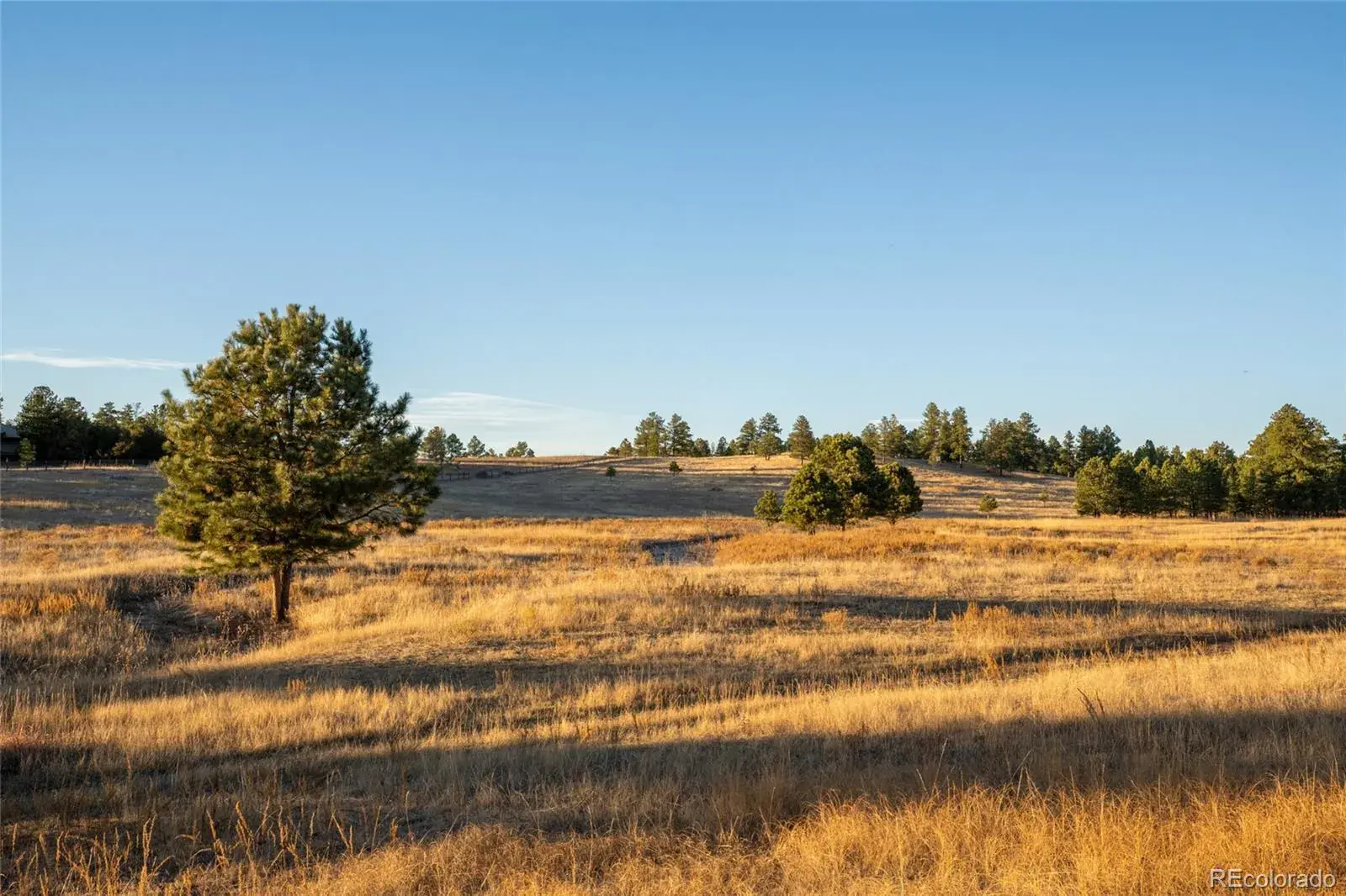 N/A Woodhaven Ridge Road Parker CO 80134 | MLS #REC5599952 11092025230617 1600 5