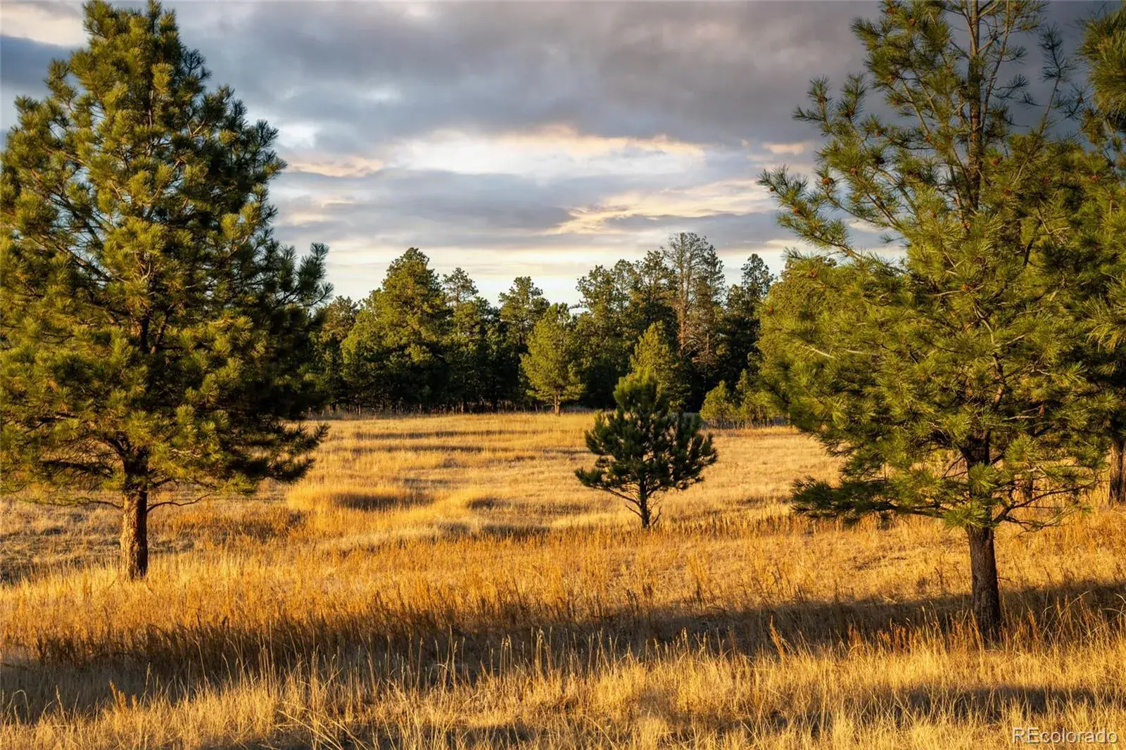 N/A Woodhaven Ridge Road Parker CO 80134 | MLS #REC5599952 11092025230617 1600 7