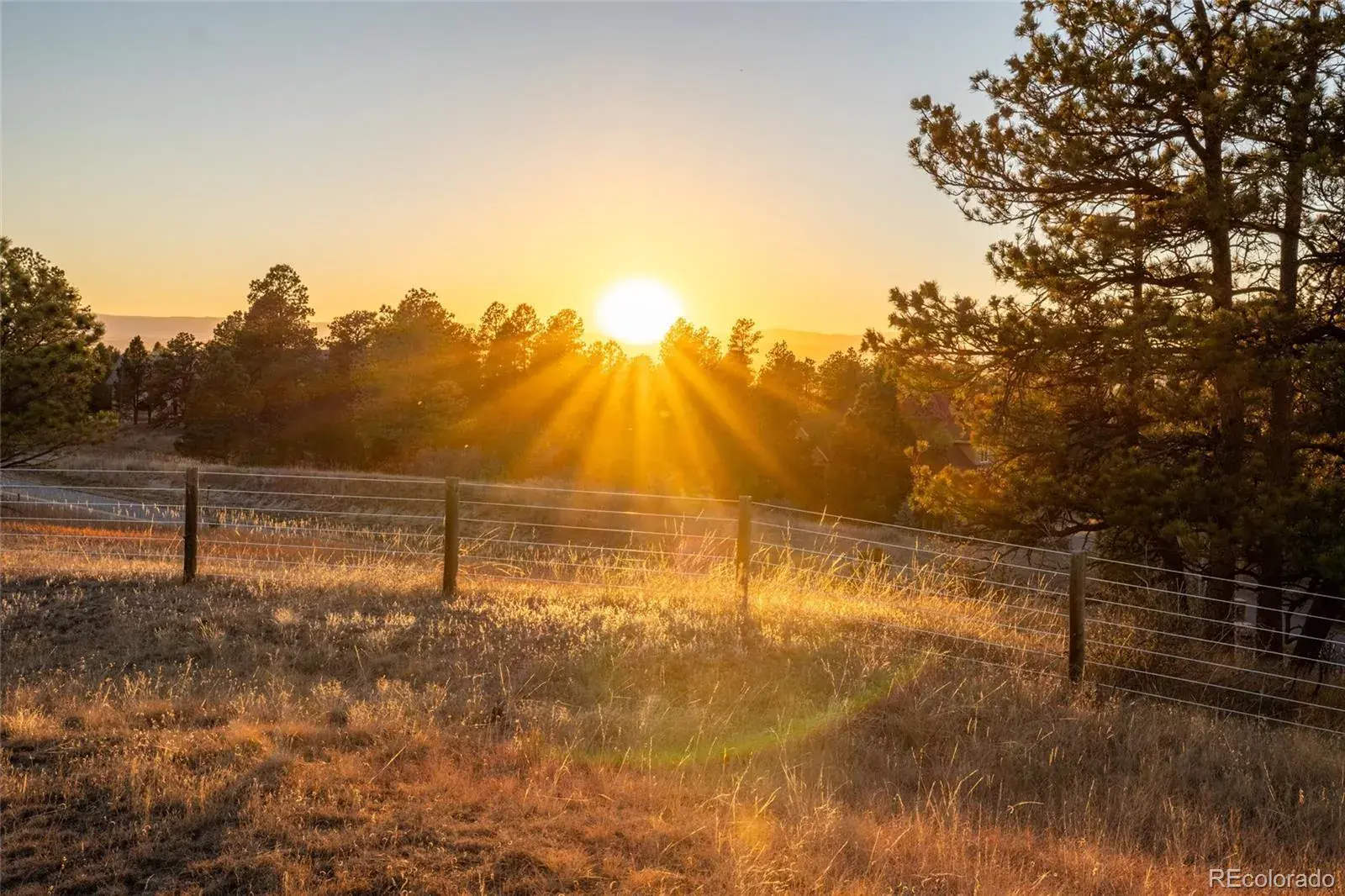 N/A Woodhaven Ridge Road Parker CO 80134 | MLS #REC5599952 11092025230617 1600 8