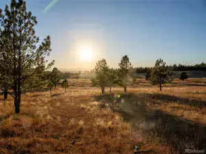 N/A Woodhaven Ridge Road Parker CO 80134 | MLS #REC5599952 11092025230617 300 0