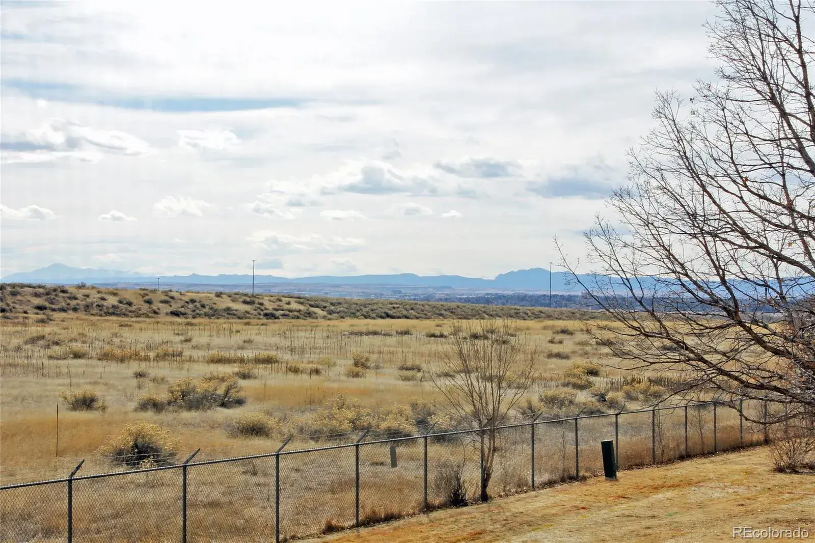 13850 E Marina Drive #101 #235 Aurora CO 80014 MLS #REC5607765 03042026173637 1600 19