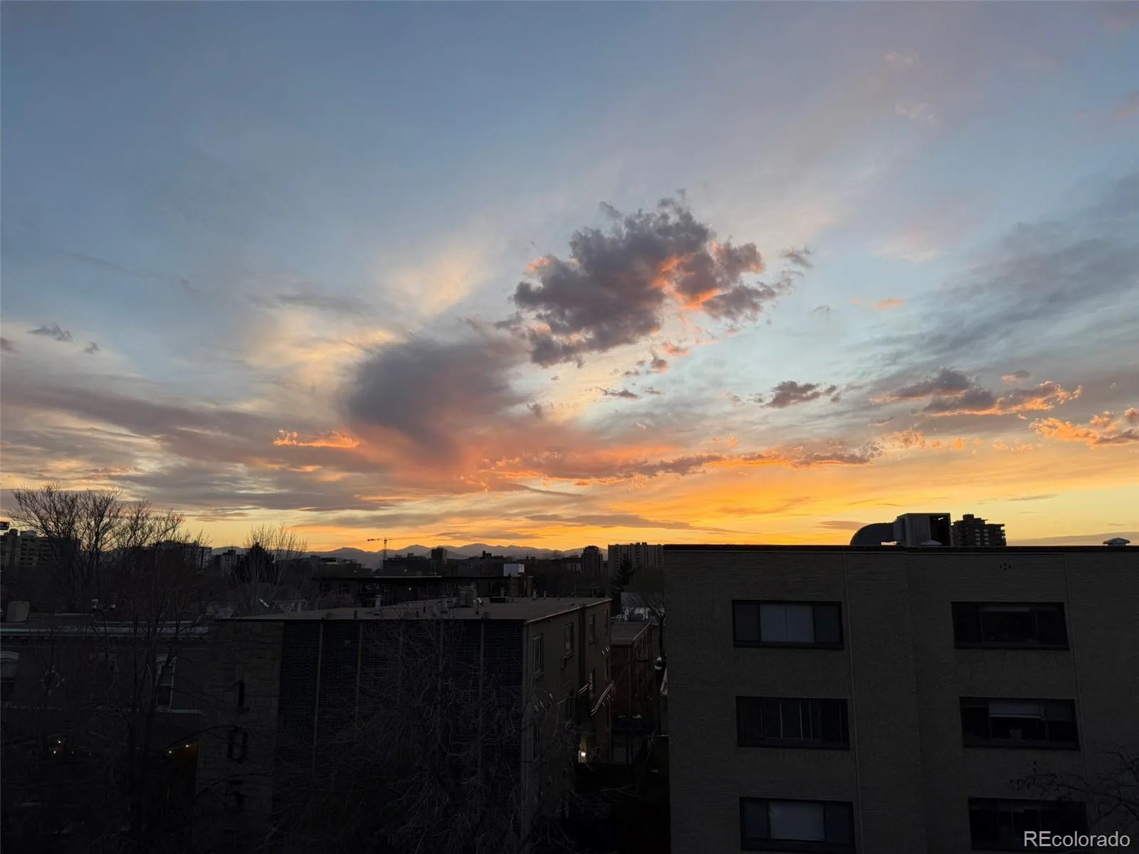 1050 N Corona Street #317 Denver CO 80218 MLS #REC5612396 07152026183852 1600 22