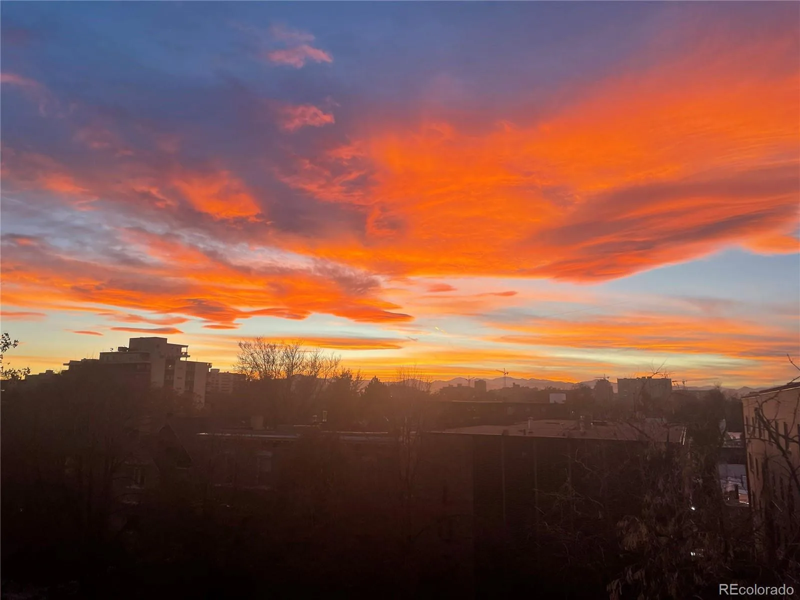 1050 N Corona Street #317 Denver CO 80218 MLS #REC5612396 07152026183852 1600 3