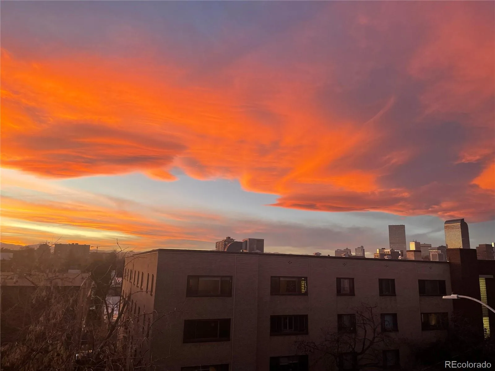 1050 N Corona Street #317 Denver CO 80218 MLS #REC5612396 07152026183852 1600 4