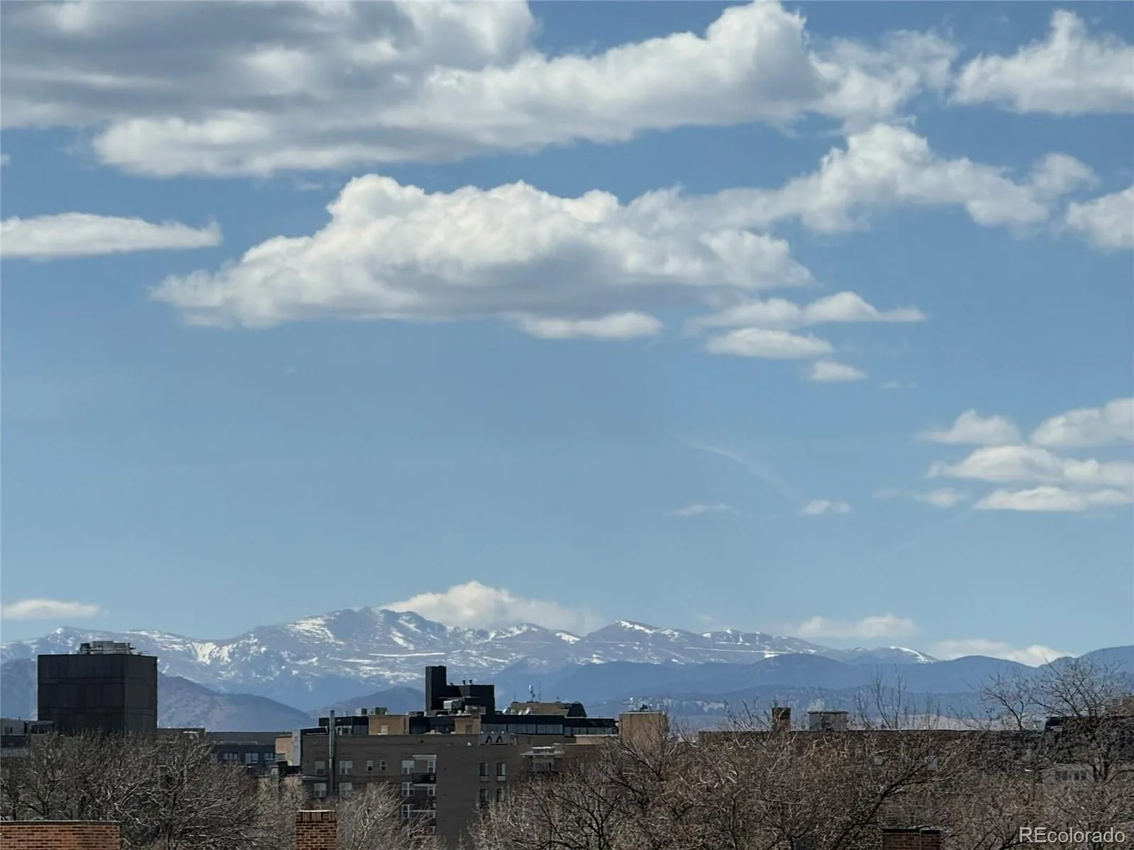 1050 N Corona Street #317 Denver CO 80218 MLS #REC5612396 07152026183852 1600 8